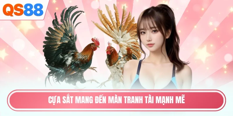 Cựa sắt mang đến màn tranh tài mạnh mẽ