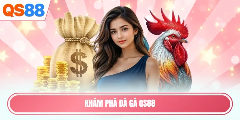 Khám phá đá gà QS88
