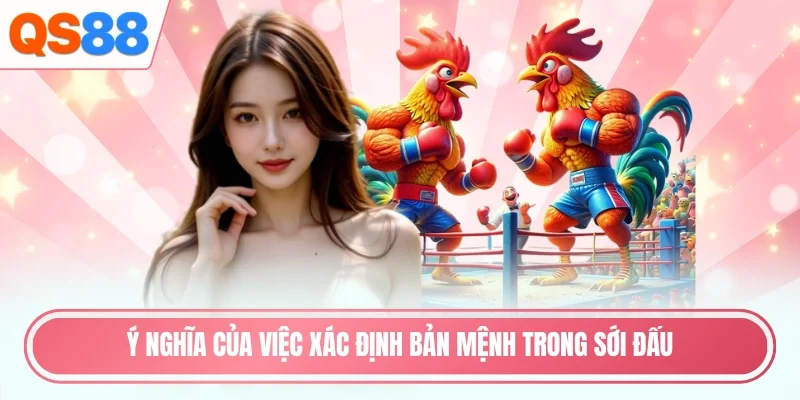 Ý nghĩa của việc xác định bản mệnh trong sới đấu